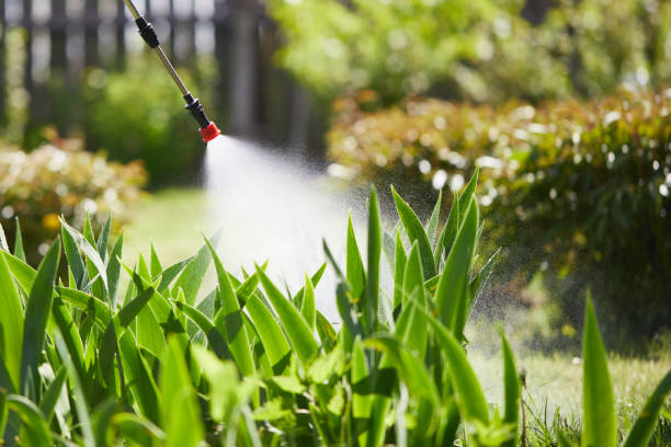24/7 Emergency Mosquito Control experts in Brent, AL